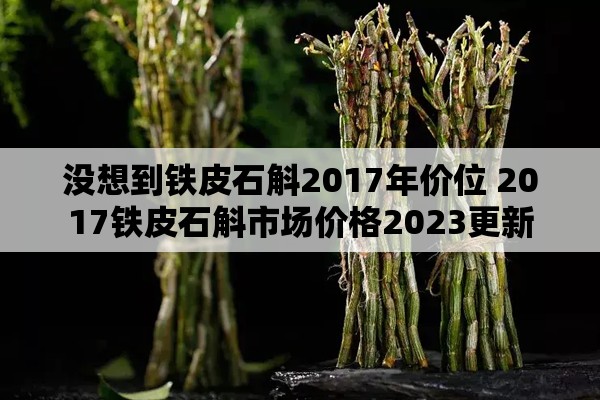 没想到铁皮石斛2017年价位 2017铁皮石斛市场价格2023更新