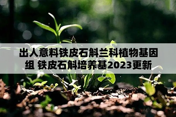 出人意料铁皮石斛兰科植物基因组 铁皮石斛培养基2023更新