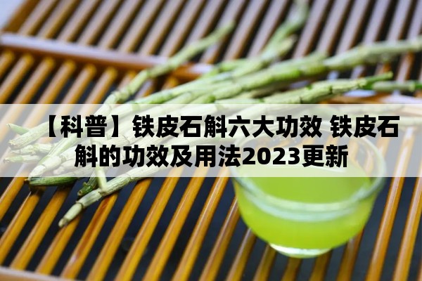 【科普】铁皮石斛六大功效 铁皮石斛的功效及用法2023更新