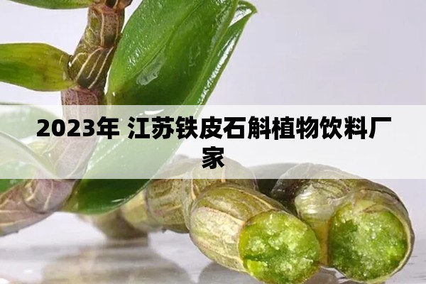 2023年 江苏铁皮石斛植物饮料厂家