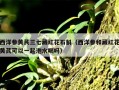 西洋参黄芪三七藏红花石斛（西洋参和藏红花黄芪可以一起泡水喝吗）