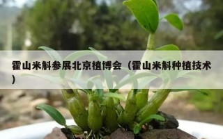 霍山米斛参展北京植博会（霍山米斛种植技术）