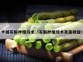 中国石斛种植技术（石斛种植技术及亩收益）