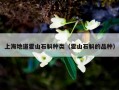 上海地道霍山石斛种类（霍山石斛的品种）