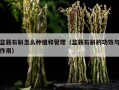盆栽石斛怎么种植和管理（盆栽石斛的功效与作用）