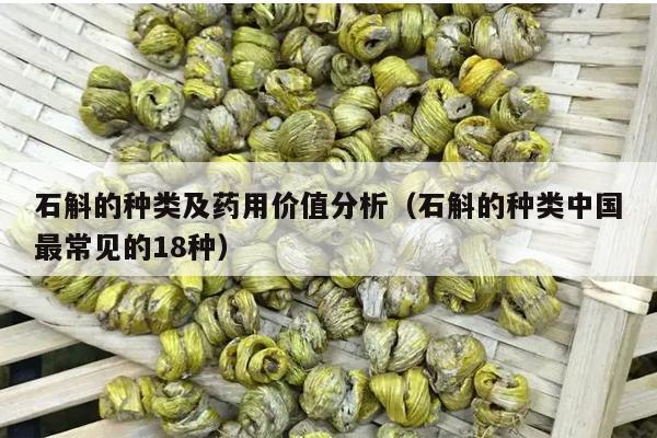 石斛的种类及药用价值分析（石斛的种类中国最常见的18种）-第1张图片-石斛站